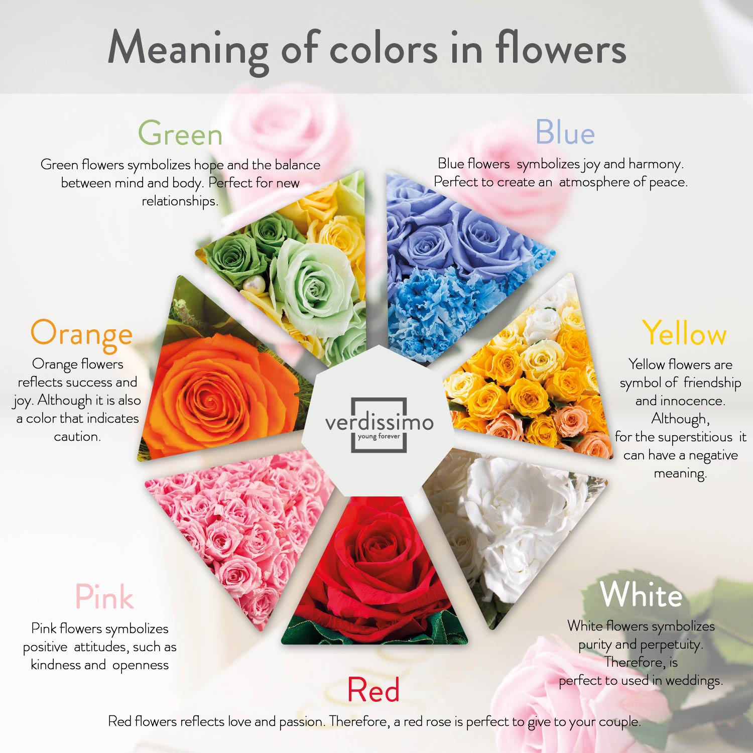 Roses And Their Different Meanings